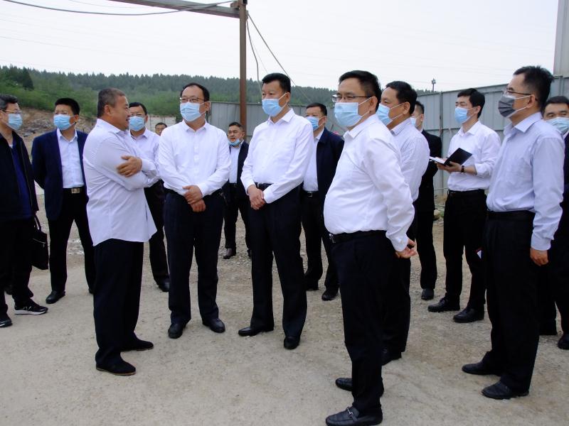 抓住项目不放松---王勤光到LD乐动·（中国）官方网站集团调研重点项目情况