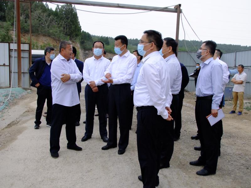 抓住项目不放松---王勤光到LD乐动·（中国）官方网站集团调研重点项目情况